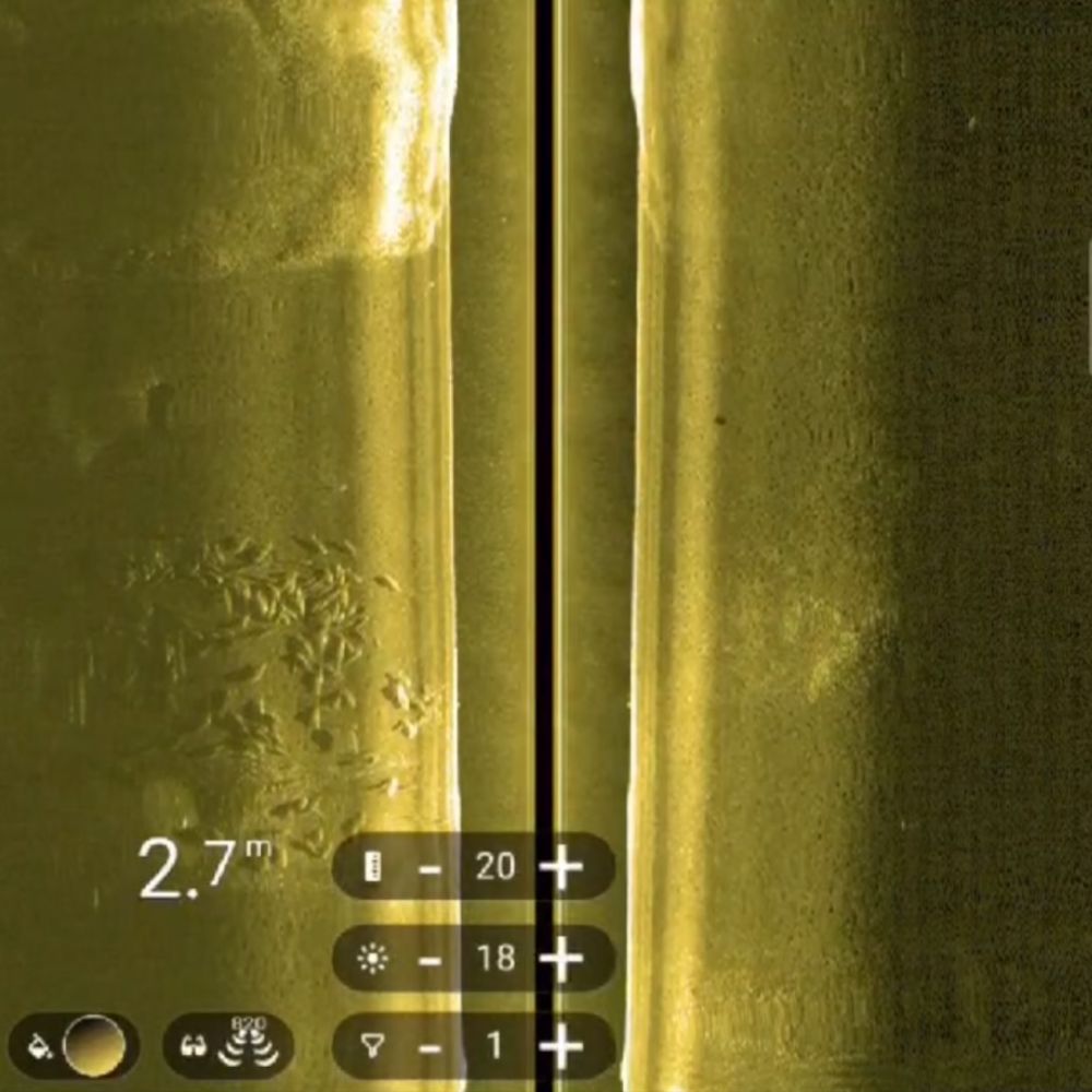 CarpSight – Radion Systematic Pro, Portable Sonar Hub with Tech Advision Pulse Blue Combined Down/Side Scan Sonar